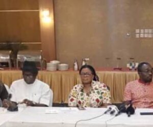 Groups Seek Govt’s Policies To Address Underrepresented Disability Clusters