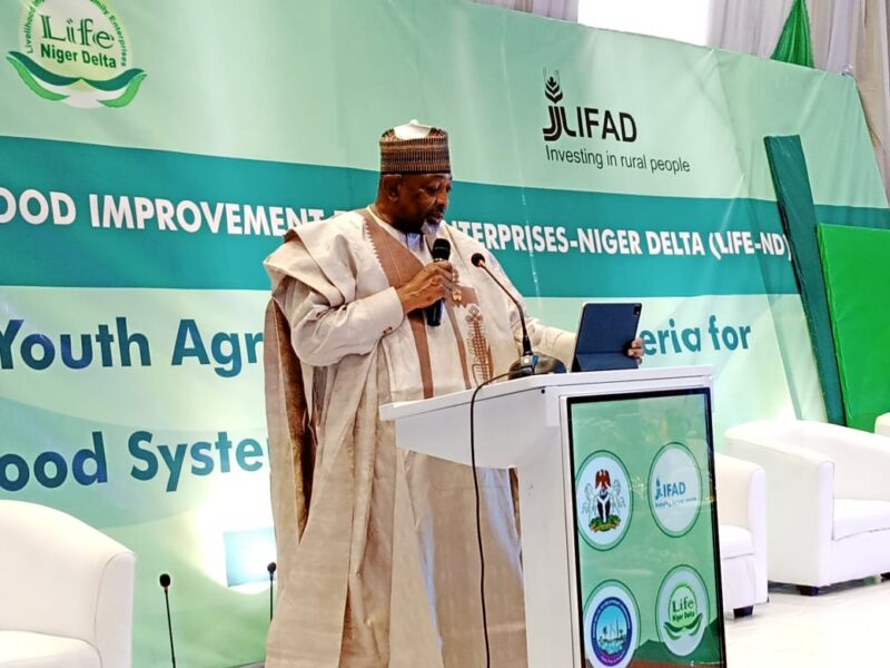 Agribusiness: FG To Scale Up Youth Agripreneurship In Nigeria