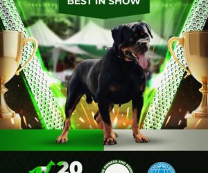 Dog breaders set global standard as COBA holds competition, awards