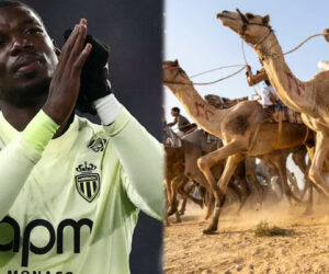 Paul Pogba invests in World’s first professional camel racing team in Saudi Arabia