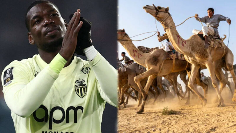 Paul Pogba invests in World’s first professional camel racing team in Saudi Arabia