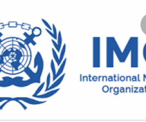 What Nigeria’s IMO Council Seat Means?