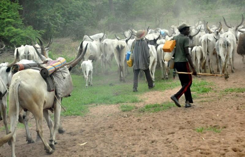 Fulani pastoralists are taxpayers, not terrorists or kidnappers – Group