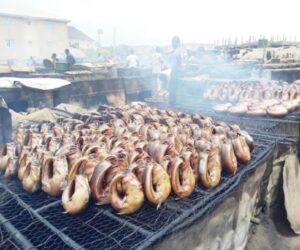NIGERIA DAILY: How Animals Diets Can Endanger Nigerians