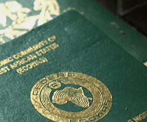 High fees, long waits: Nigerians in Germany, Switzerland, others petition FG on NIN, passport reforms