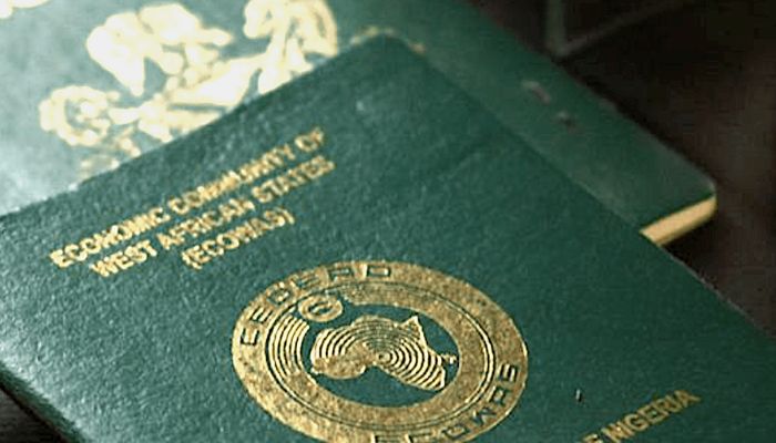 High fees, long waits: Nigerians in Germany, Switzerland, others petition FG on NIN, passport reforms