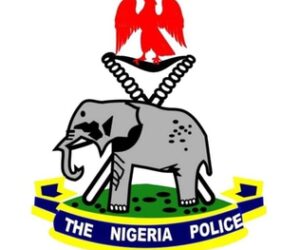 Imo Police command debunks allegation of organ harvesting