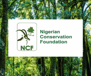 NCF, Ford Foundation canvass policy on plastic-bag charges for climate financing