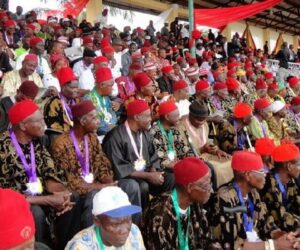 Criticisms against Mahmood’s ambassadorial nomination misplaced – Ohanaeze youths