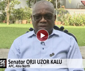 Over 30,000 Igbo Lives Lost To Sit-At-Home Violence – Arise News