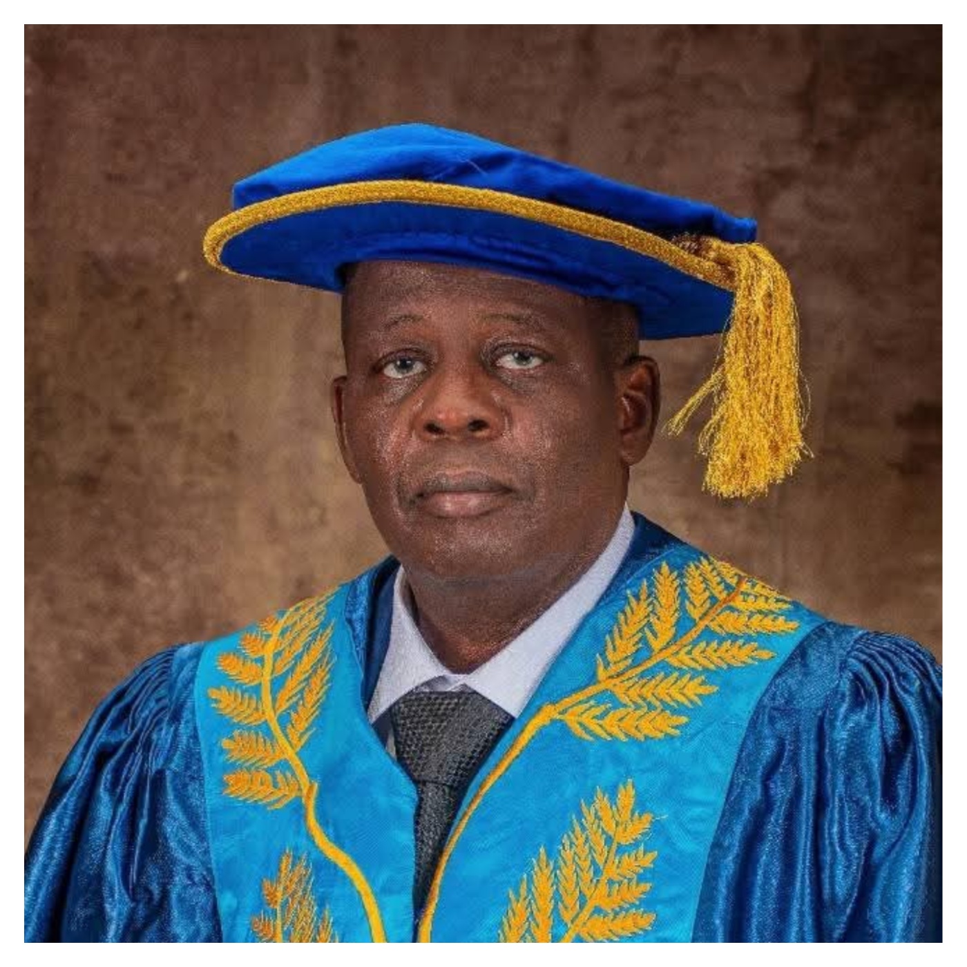 OAU Pro-Chancellor, Prof. Siyan Oyeweso,d!es