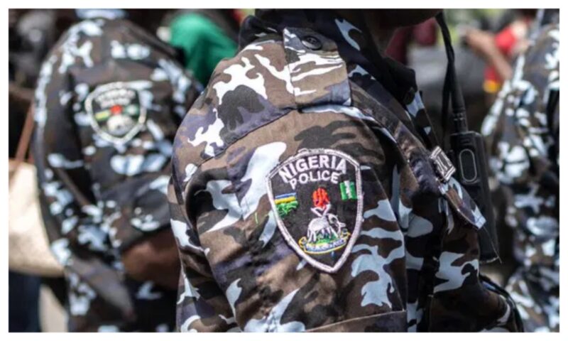 Benue: Policeman, sibling nabbed after leading youths to seize corpse, attack villagers