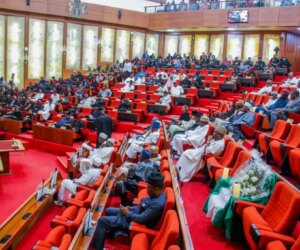 Senate assures stakeholders of Social Security Fund law delivery