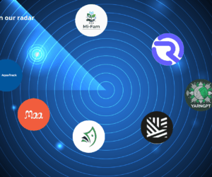 7 African startups advancing aquaculture, analytics, and access to finance