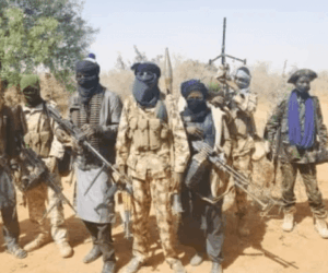 Terrorists kill one, abduct at least 20 onion farmers in fresh Borno attack 