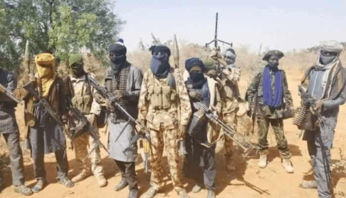 Terrorists kill one, abduct at least 20 onion farmers in fresh Borno attack 