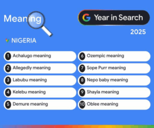 ‘Achalugo’, ‘Labubu’, and ‘ex-President Muhammadu Buhari’ top Nigeria’s Google searches in 2025