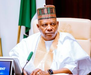 Nigeria must embrace new, diversified funding models for education