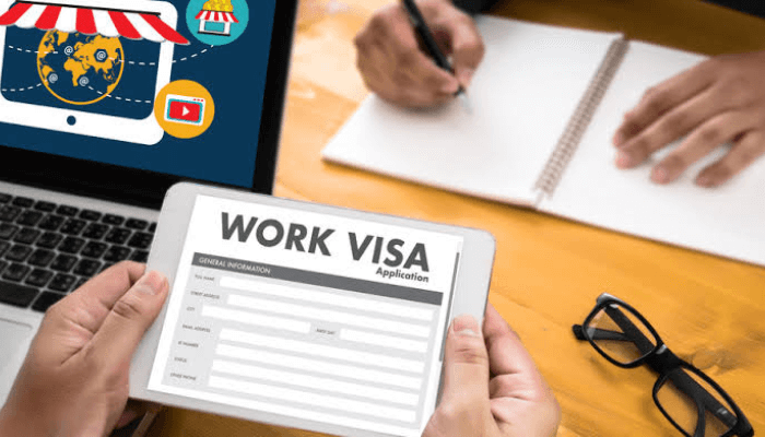 Over 31,000 post-graduation work permits due to expire by Dec 31- Report