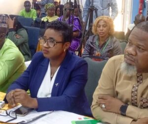 Media Experts Warn Against Unchecked Misinformation, Online Content