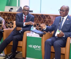 Cost of services in Nigeria’s oil and gas industry is cheapest in Africa – PETAN President