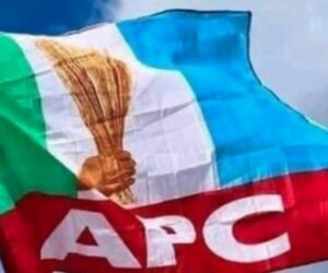 APC will win 2027 elections convincingly, Yilwatda boasts