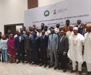 FG Links Industrial Growth To Reliable Energy Supply