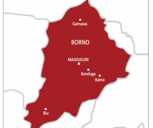 Borno: How Teenager Allegedly Killed Neighbor After Snatching Her Phone