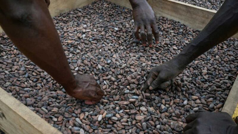 Chocolate prices high before Christmas despite cocoa fall