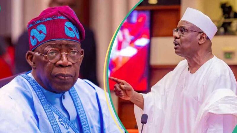 Senator Ndume Urges Tinubu To Withdraw Ambassadorial List, Gives Reason