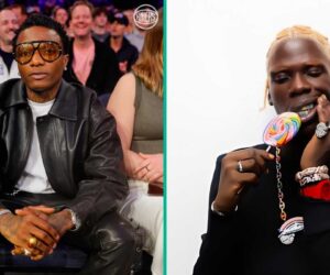 Wizkid, Seyi Vibez and Seven Other Nigerian Musicians Who Dominated Spotify in 2025