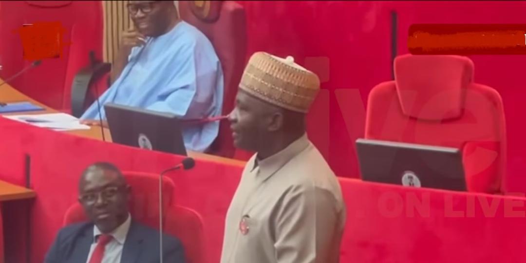 Senate confirms General Christopher Musa as new Defence minister after five-hour screening