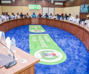 Insecurity: ‘Stop blaming Abuja, do your job’ – YPP slams Govs