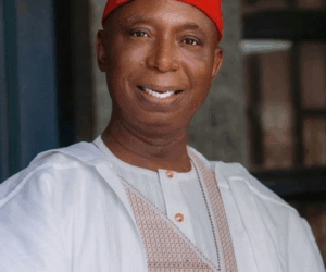 Sen Ned Nwoko threatens legal action over alleged coordinated online defamation campaign