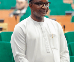 15 farmers abducted in Kaduna — Lawmaker