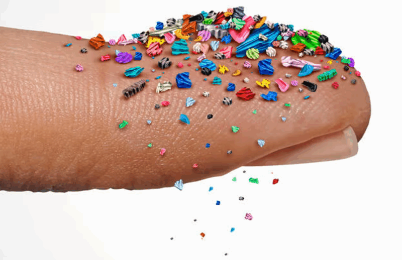 STUDY: Microplastics Are Harming You in More Ways Than You Think | Tech | Business