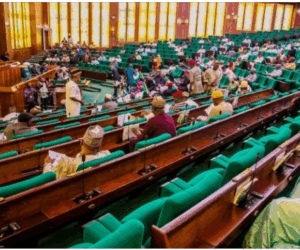 Debate on constitution review bills stalled as reps protest unavailability of copies