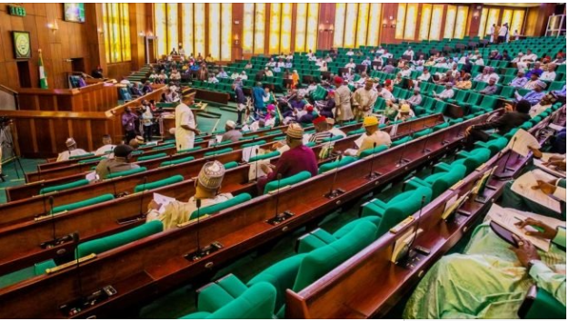 Debate on constitution review bills stalled as reps protest unavailability of copies