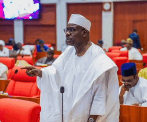 Ambassadorial nominees: Withdraw, present fresh list, Ndume tells Tinubu