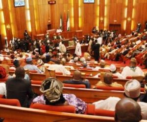 Senate reconstitutes committees on National Security, Air Force, others