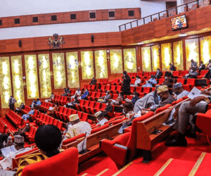 Senate Moves To Tag Kidnapping As Act Of Terrorism