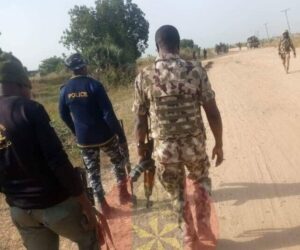 Army denies k!lling women protesters in Adamawa, blames local militias for attack