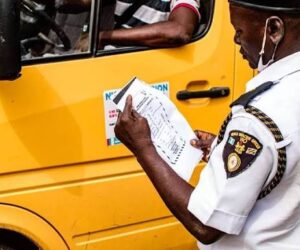 Appeal Court Declares VIO Illegal In Nigeria