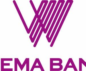Wema Bank Plc 9-Month: Robust Health, Efficiency, Profit, Value Creation Amid NPL Red Flag