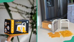 Viral Cheese Slicer's Journey After Shark Tank