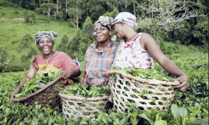 Women Push For Inclusion, Funding To Drive Economic Growth