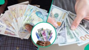 Naira Plunges Against Dollar: What's Behind the Sharp Decline