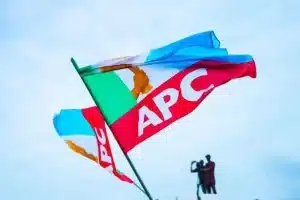 APC Takes PDP to Court Over Disputed Gwagwalada Election Results