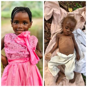 "We gave you life but you gave us more" - Danish aid worker, Anja Ringgren LovÃ©n...