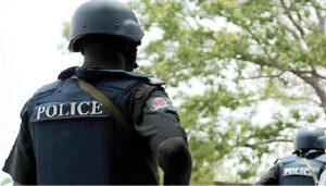 Police arrest two suspected armed robbers in Delta, recover weapons